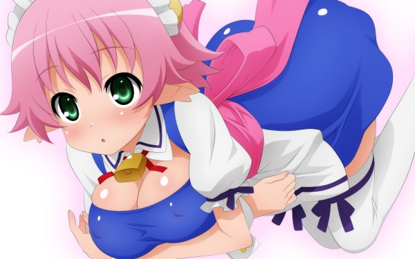 Anime picture 2560x1600 with astarotte no omocha! elfleda mirjasdottir wave ride blush highres short hair breasts light erotic wide image large breasts green eyes pink hair maid girl thighhighs white thighhighs