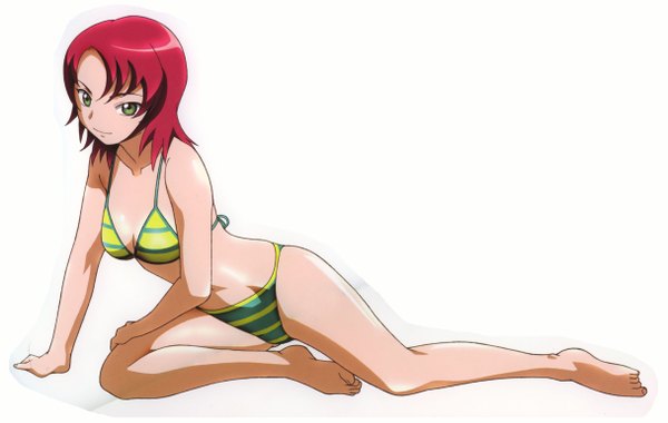 Anime picture 4858x3081 with mai hime mai-otome sunrise (studio) juliet nao zhang single highres light erotic white background girl swimsuit bikini striped bikini