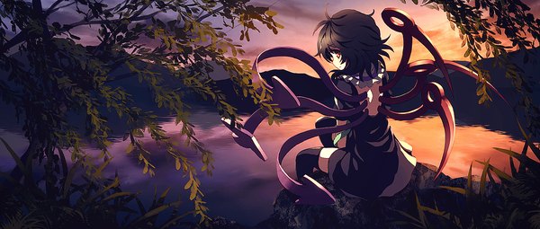 Anime picture 1600x681 with touhou houjuu nue dise single looking at viewer short hair black hair red eyes wide image sitting evening sunset lake asymmetrical wings girl thighhighs dress black thighhighs plant (plants) wings