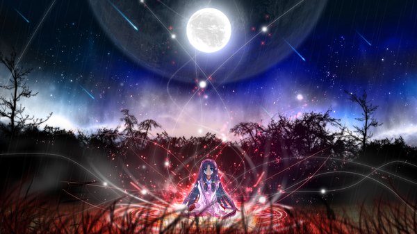 Anime picture 1920x1080 with air key (studio) kamio misuzu long hair highres blue eyes wide image purple hair night night sky meteor rain girl plant (plants) moon star (stars) grass