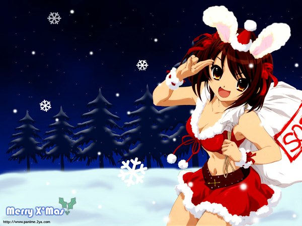 Anime picture 1024x768 with suzumiya haruhi no yuutsu kyoto animation suzumiya haruhi snowing christmas bunny girl winter snow girl santa claus hat snowflake (snowflakes) santa claus costume