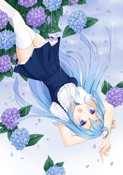 Anime picture 1753x2480 with original hazuki natsu long hair tall image blush highres open mouth purple eyes blue hair girl thighhighs dress flower (flowers) petals white thighhighs hydrangea