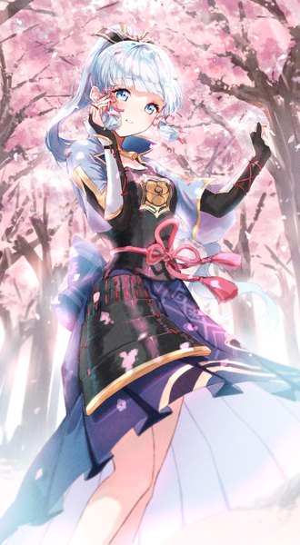 Anime picture 2239x4071 with genshin impact kamisato ayaka eshineko single long hair tall image fringe highres blue eyes looking away silver hair ponytail blunt bangs from below cherry blossoms spring girl plant (plants) petals tree (trees)