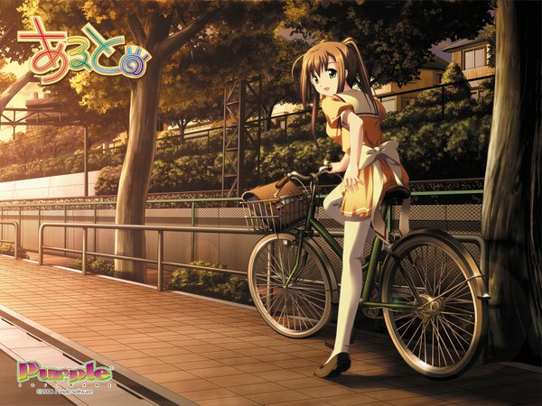 Anime picture 1600x1200 with alto purple software tachibana megumi brown hair girl uniform school uniform pantyhose ground vehicle bicycle