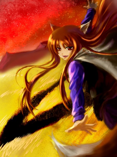 Anime picture 1200x1600 with spice and wolf horo karlwolf single long hair tall image red eyes animal ears red hair tail spread arms field girl
