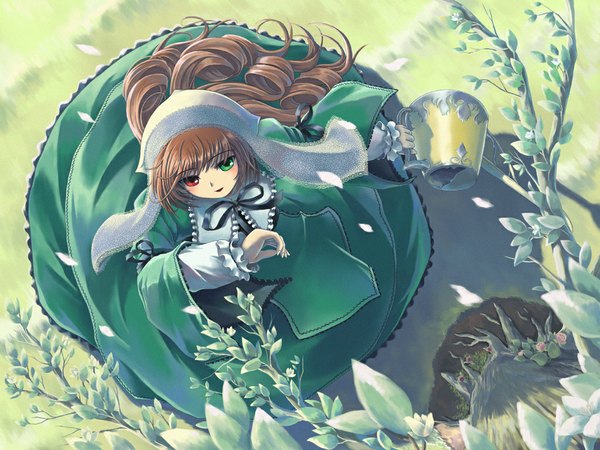 Anime picture 1024x768 with rozen maiden suiseiseki ranranloo single long hair brown hair outdoors from above wind heterochromia drill hair girl dress petals headdress watering can