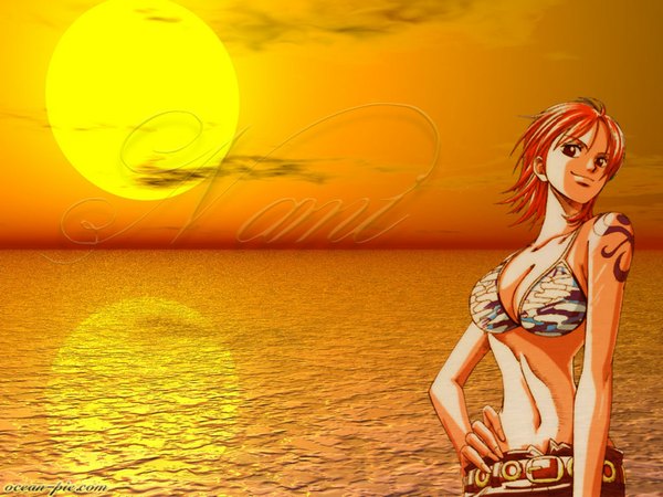 Anime picture 1024x768 with one piece toei animation nami (one piece) single looking at viewer fringe short hair light erotic smile hair between eyes standing bare shoulders sky cloud (clouds) upper body black eyes orange hair tattoo character names hand on hip