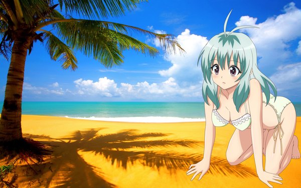 Anime picture 1920x1200 with toloveru xebec run elsie jewelria single highres light erotic wide image purple hair ahoge green hair beach on all fours girl swimsuit plant (plants) tree (trees) palm tree