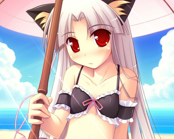 Anime picture 1024x819 with happiness shikimori ibuki single long hair looking at viewer blush red eyes animal ears cloud (clouds) white hair cat ears loli girl swimsuit frills umbrella