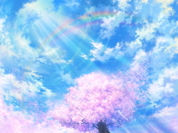 Anime picture 1600x1200 with original iy (tsujiki) highres sky cloud (clouds) cherry blossoms no people landscape plant (plants) petals tree (trees) leaf (leaves) rainbow