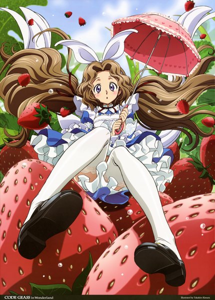 Anime picture 5790x8084 with code geass alice in wonderland sunrise (studio) nunnally lamperouge kimura takahiro single long hair tall image highres brown hair purple eyes absurdres girl thighhighs dress white thighhighs food umbrella berry (berries) strawberry