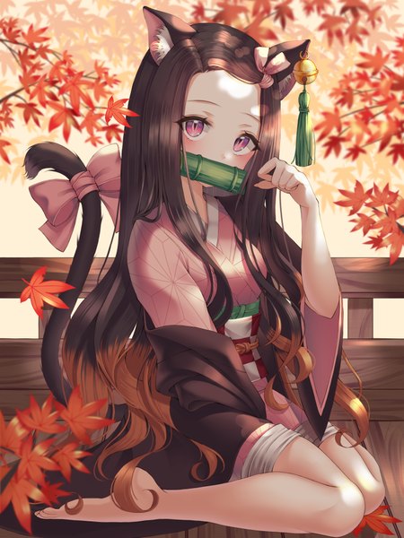 Anime picture 3000x4000 with kimetsu no yaiba ufotable kamado nezuko nowsicaa single long hair tall image looking at viewer blush fringe highres brown hair sitting holding animal ears full body tail traditional clothes japanese clothes animal tail