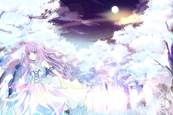 Anime picture 1280x853 with original lulu season single long hair purple eyes bare shoulders looking away purple hair cloud (clouds) night sky girl dress gloves hair ornament plant (plants) animal tree (trees) choker elbow gloves hairclip