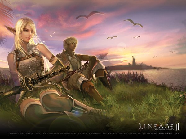 Anime picture 1600x1200 with lineage (game) long hair highres blonde hair sitting sky pointy ears realistic official art wallpaper evening sunset elf thighhighs plant (plants) animal sword bird (birds) grass