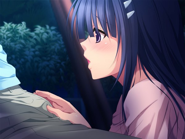 イラスト 1024x768 と binkan! kanojo (game) 長髪 開いた口 light erotic 黒髪 紫目 game cg outdoors 女の子