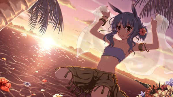 Anime picture 1920x1080 with dj max dj max portable suee shira-nyoro blush highres short hair open mouth red eyes wide image animal ears blue hair midriff evening sunset girl skirt navel flower (flowers) sea