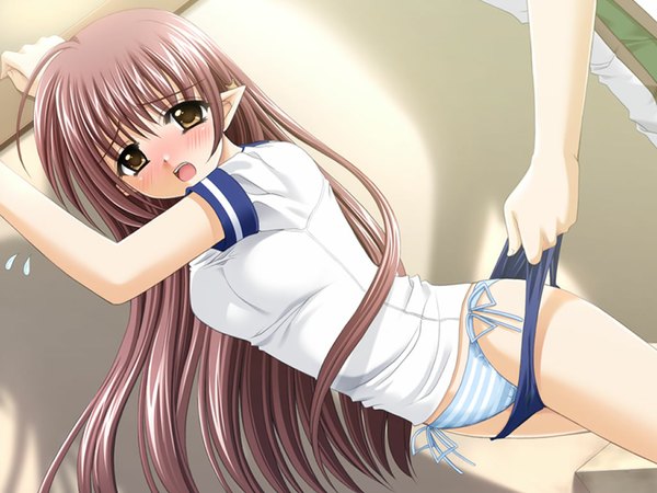 Anime picture 1024x768 with shuffle! lisianthus light erotic uniform underwear panties gym uniform buruma