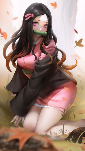 Anime picture 540x960 with kimetsu no yaiba ufotable kamado nezuko weber single long hair tall image looking at viewer blush black hair holding bent knee (knees) traditional clothes head tilt japanese clothes pink eyes blurry off shoulder arm support kneeling