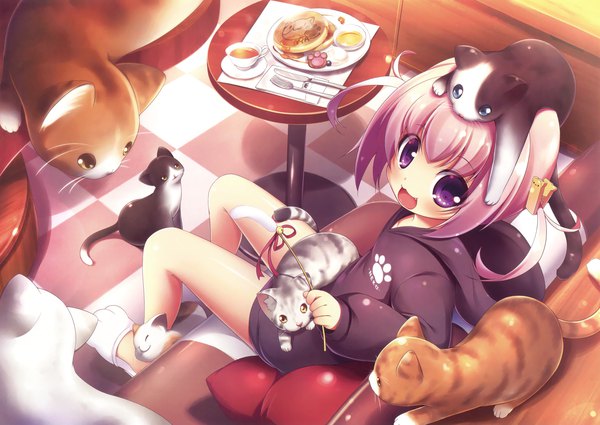 Anime picture 3300x2342 with original eshi 100-nin ten kuwada yuuki single blush highres short hair open mouth sitting purple eyes twintails pink hair absurdres from above loli short twintails checkered floor floor animal on head cat on head