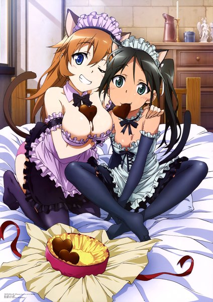 Anime picture 6086x8615 with strike witches francesca lucchini charlotte e yeager long hair tall image looking at viewer blush highres breasts blue eyes light erotic black hair smile brown hair multiple girls animal ears absurdres tail animal tail one eye closed