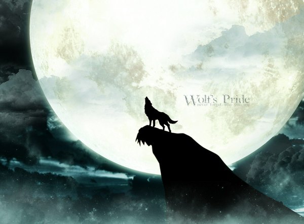 Anime picture 1600x1178 with wolfs rain studio bones kiba tagme