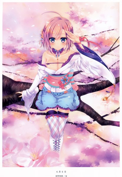 Anime picture 5196x7527 with original konno kengo single tall image looking at viewer blush highres short hair breasts light erotic purple eyes absurdres purple hair traditional clothes japanese clothes scan cherry blossoms girl petals kimono