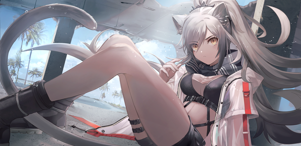 Anime picture 3699x1800 with arknights schwarz (arknights) i-ron single long hair looking at viewer fringe highres breasts hair between eyes wide image sitting animal ears yellow eyes payot sky silver hair cloud (clouds) ponytail tail
