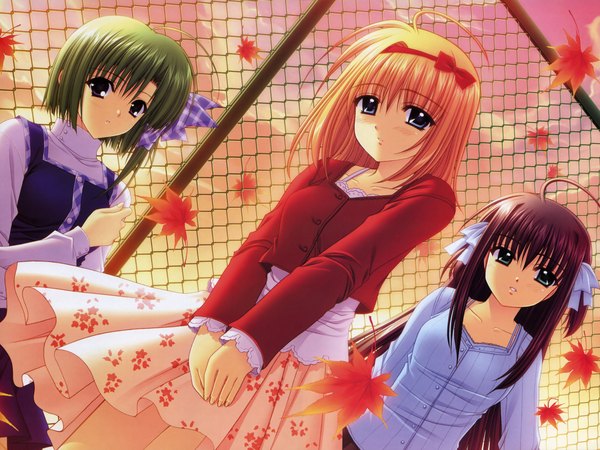 Anime picture 1600x1200 with shuffle! really really fuyou kaede shigure asa yae sakura (shuffle!) suzuhira hiro nishimata aoi long hair looking at viewer short hair blue eyes purple eyes multiple girls green eyes sky purple hair green hair orange hair dutch angle against fence