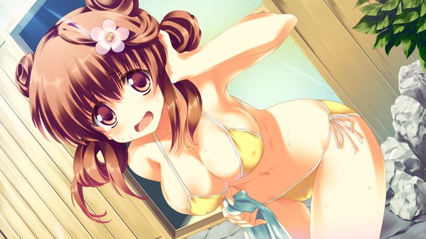 Anime picture 1280x720 with hoshi no ouji-kun amanatsu purin qp:flapper long hair blush open mouth light erotic brown hair wide image brown eyes game cg hair flower girl hair ornament swimsuit bikini