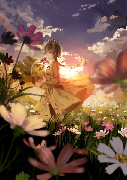 Anime picture 777x1100 with vocaloid vocaloid china luo tianyi bou shaku single long hair tall image looking at viewer brown hair green eyes sky cloud (clouds) hair flower meadow girl dress hair ornament flower (flowers) plant (plants) tree (trees)