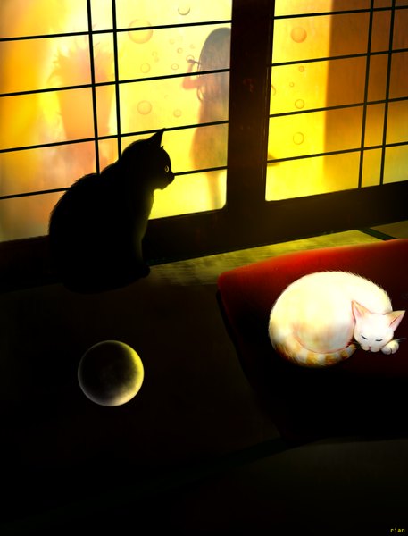 Anime picture 800x1050 with original mari (milkuro-cat) long hair tall image looking at viewer sitting shadow back light sleeping girl plant (plants) animal cat bubble (bubbles) ball