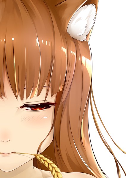 Anime picture 2480x3508 with spice and wolf horo c (pixiv3064042) single long hair tall image blush fringe highres simple background hair between eyes red eyes brown hair white background bare shoulders holding animal ears looking away upper body fox ears