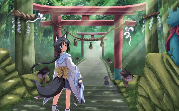 Anime picture 1920x1200 with original shira-nyoro long hair blush highres blue eyes black hair wide image animal ears traditional clothes animal tail looking back girl plant (plants) tree (trees) scarf leaf (leaves) cat stairs