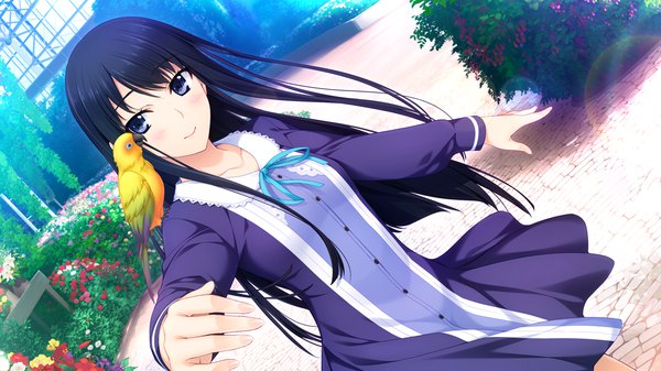 Anime picture 1280x720 with niizuma lovely x cation isurugi yuki iizuki tasuku single long hair blush fringe blue eyes black hair smile wide image looking away game cg animal on shoulder bird on shoulder girl dress flower (flowers) animal bird (birds)