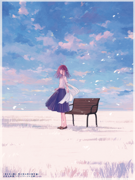 Anime picture 755x1000 with shi o miru boku to, ashita shinu kimi no jiken-roku 72 (nananatsu) single long hair tall image fringe brown hair standing brown eyes sky cloud (clouds) full body pleated skirt wind official art border cover cover page girl skirt