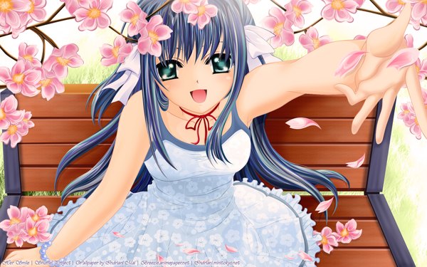 Anime picture 1920x1200 with shuffle! yae sakura (shuffle!) suzuhira hiro long hair highres open mouth wide image green eyes blue hair cherry blossoms outstretched arm girl petals sundress branch bench