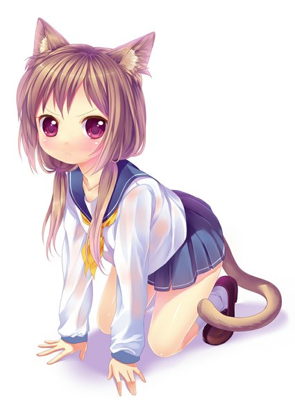 Anime picture 800x1129 with original caidychen single long hair tall image looking at viewer blush simple background brown hair white background twintails animal ears tail animal tail pink eyes cat ears cat girl cat tail loli kneeling