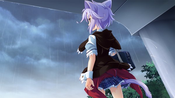 Anime picture 1024x576 with love-bride eve nashiduki sarasa single short hair red eyes wide image animal ears game cg purple hair cat ears cat tail rain girl serafuku