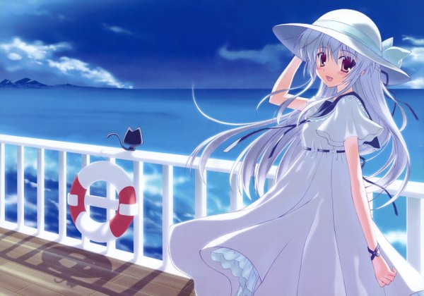 Anime picture 4959x3477 with nanao naru highres purple eyes absurdres white hair girl dress water white dress cat
