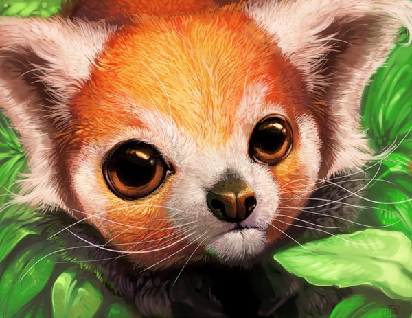 Anime picture 1100x850 with original rajewel (artist) brown eyes no people plant (plants) animal leaf (leaves) panda