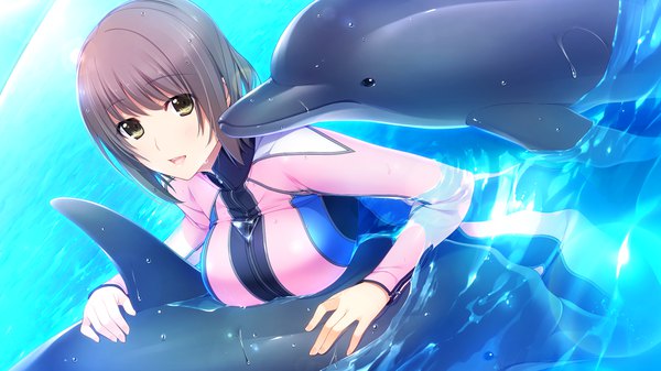 Anime picture 1280x720 with niizuma lovely x cation kurihara aiko iizuki tasuku single looking at viewer blush fringe short hair open mouth brown hair wide image brown eyes game cg girl animal water bodysuit dolphin