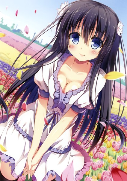 Anime picture 2220x3140 with original nozomi tsubame single long hair tall image looking at viewer blush highres blue eyes black hair smile cleavage scan girl thighhighs dress flower (flowers) black thighhighs petals