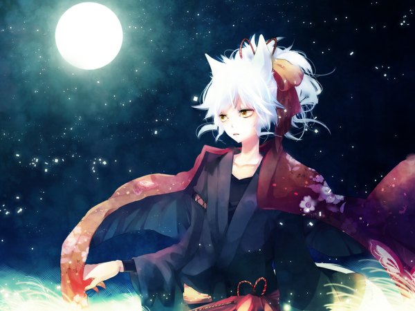 Anime picture 1000x750 with original yuukichi single standing animal ears yellow eyes white hair japanese clothes night night sky girl ribbon (ribbons) hair ribbon insect butterfly moon full moon