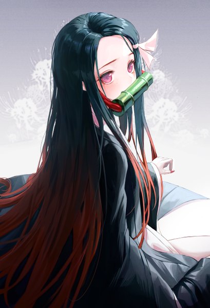Anime picture 3616x5298 with kimetsu no yaiba ufotable kamado nezuko okazu (eightstudio) single long hair tall image looking at viewer blush fringe highres black hair simple background brown hair purple eyes holding absurdres nail polish traditional clothes japanese clothes