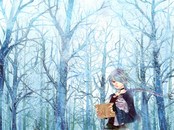 Anime picture 1280x960 with original pixiv fantasia pixiv fantasia iv vient single long hair looking at viewer fringe red eyes wind pointy ears hair over one eye aqua hair single braid winter bandage over one eye girl plant (plants) tree (trees) fingerless gloves