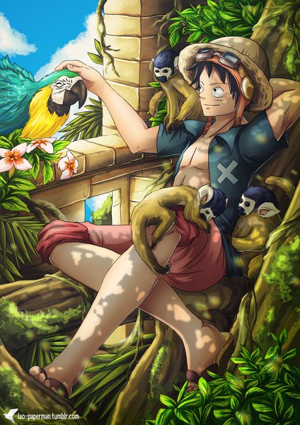 Anime picture 778x1100 with one piece toei animation monkey d. luffy lao-paperman single tall image short hair black hair smile sitting signed looking away sky cloud (clouds) black eyes open jacket shadow scar arm behind head goggles on head