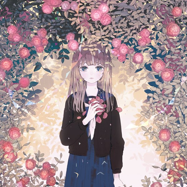 Anime picture 1000x1000 with original felt (lidsan) single long hair looking at viewer fringe blue eyes brown hair flower (flowers) plant (plants) petals jacket rose (roses)