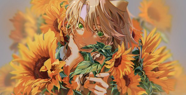Anime picture 2048x1044 with twisted wonderland leona kingscholar mimonome single long hair looking at viewer fringe highres hair between eyes brown hair wide image green eyes braid (braids) scar head rest boy flower (flowers) sunflower