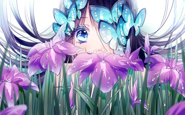 Anime picture 1681x1047 with original hona (platinum egg) single long hair fringe blue eyes wide image white background purple hair girl flower (flowers) plant (plants) insect butterfly grass