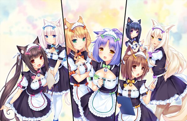 Anime picture 1280x826 with neko paradise neko works (studio) vanilla (nekopara) chocola (nekopara) coconut (sayori) maple (sayori) cinnamon (sayori) azuki (sayori) minazuki shigure sayori long hair looking at viewer fringe short hair breasts open mouth blue eyes black hair blonde hair smile